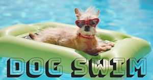 Ziegler Pool Hosts a Dog Swim on Sunday