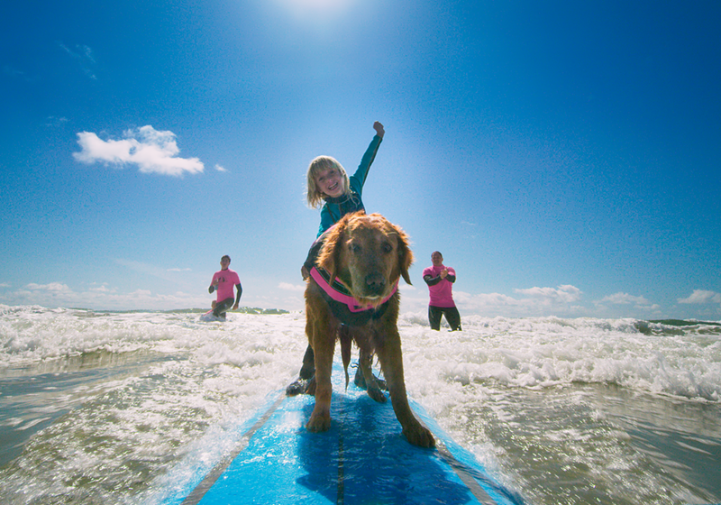 Ricochet the surf dog. - Cosmic Picture
