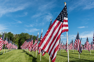 Arlington will be selling the 3-foot-by-five-foot flags so anyone who wishes to honor a loved one can do so. - Photo: Arlington Memorial Gardens