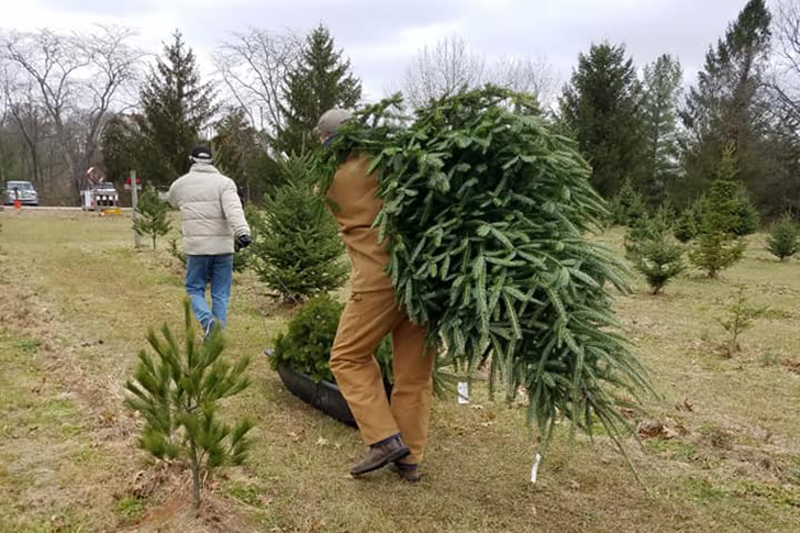 Headlines have been popping up about live and artificial Christmas tree shortages all over the U.S. And it looks like those issues may have made their way to the Cincinnati area, including at Rossmann's Christmas Tree Farm in Blanchester. - Photo: facebook.com/rossmannstrees