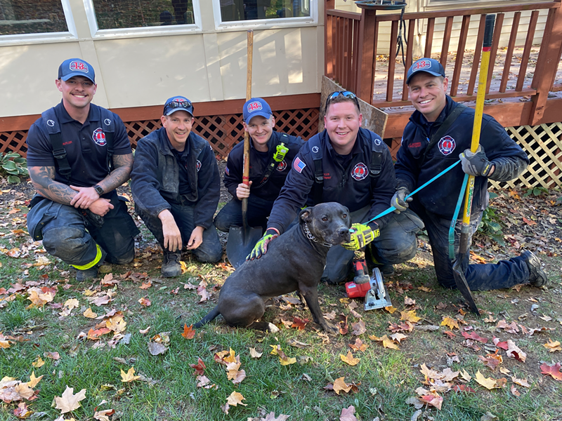 Shadow was trapped under an enclosed patio in Blue Ash and was rescued by firefighters yesterday. - Photo: Provided by the City of Blue Ash