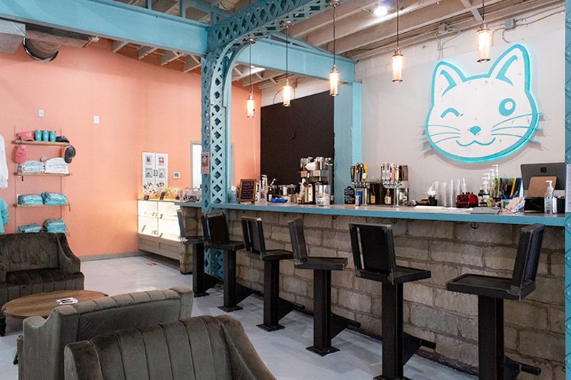 „Purrfect Day Cafe“ bare patiekiami pyragaičiai, kava, arbata ir alkoholis.  Langas, esantis dešinėje baro pusėje, žiūri į kačių kambarį.  - NUOTRAUKA: DANIELLE SCHUSTER