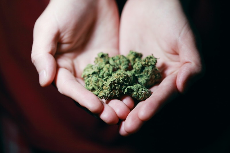 Could weed be legal in the United States soon? - Photo: Sharon McCutcheon, Pexels