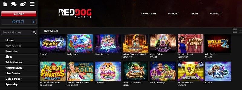 Top 8 Non-GamStop Casino Sites That Accept UK Players (2022): The Best Online Casinos not on GamStop