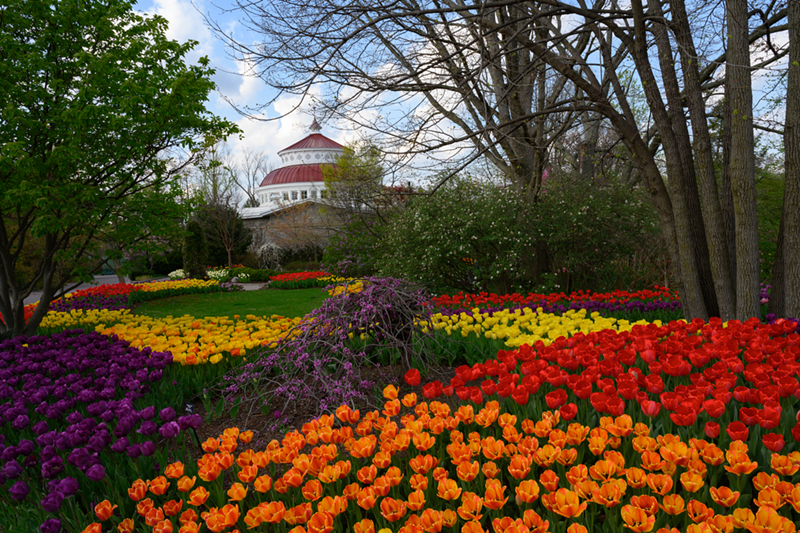 Zoo Blooms. - PHOTO: PROVIDED BY THE CINCINNATI ZOO & BOTANICAL GARDEN
