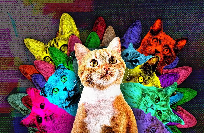 Poster art for the 2022 CatVideoFest - Photo: Provided by CatVideoFest