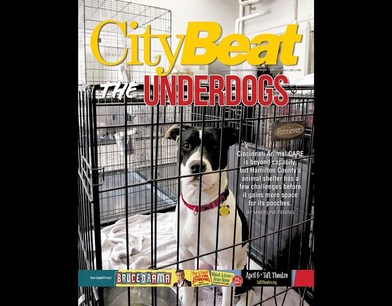 In CityBeat's latest issue, we explore the challenges faced by Hamilton county's animal shelter, Cincinnati Animal CARE. - Photo: CityBeat