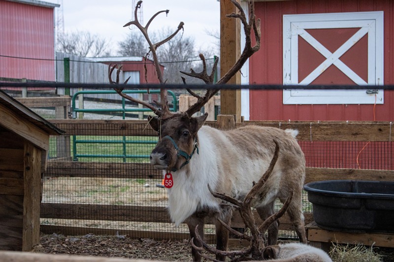 Holidays on the Farm - Photo: Provided by Great Parks
