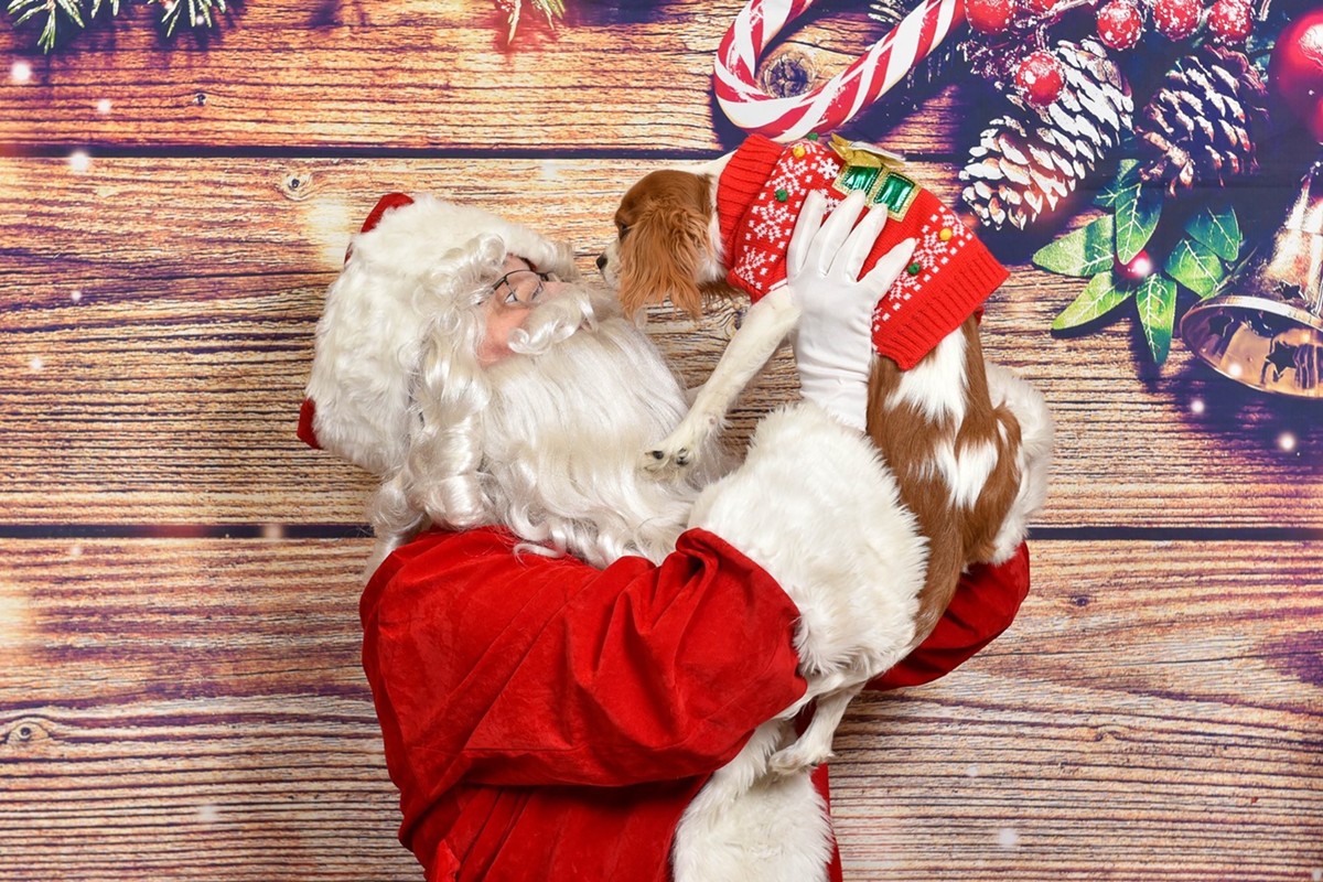 Santa loves puppy dogs!