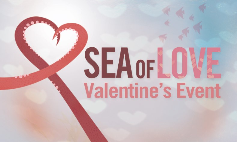Sea of Love Valentine's Event at Newport Aquarium