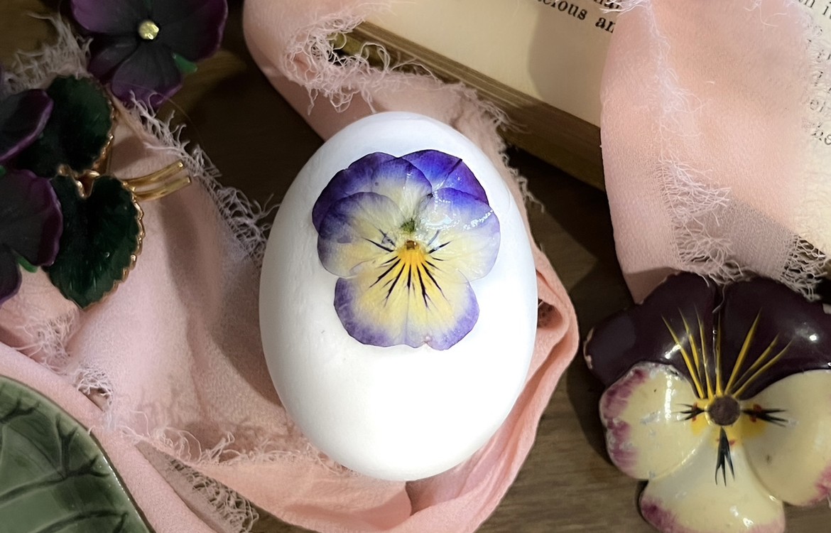 preserved pansy egg decorating