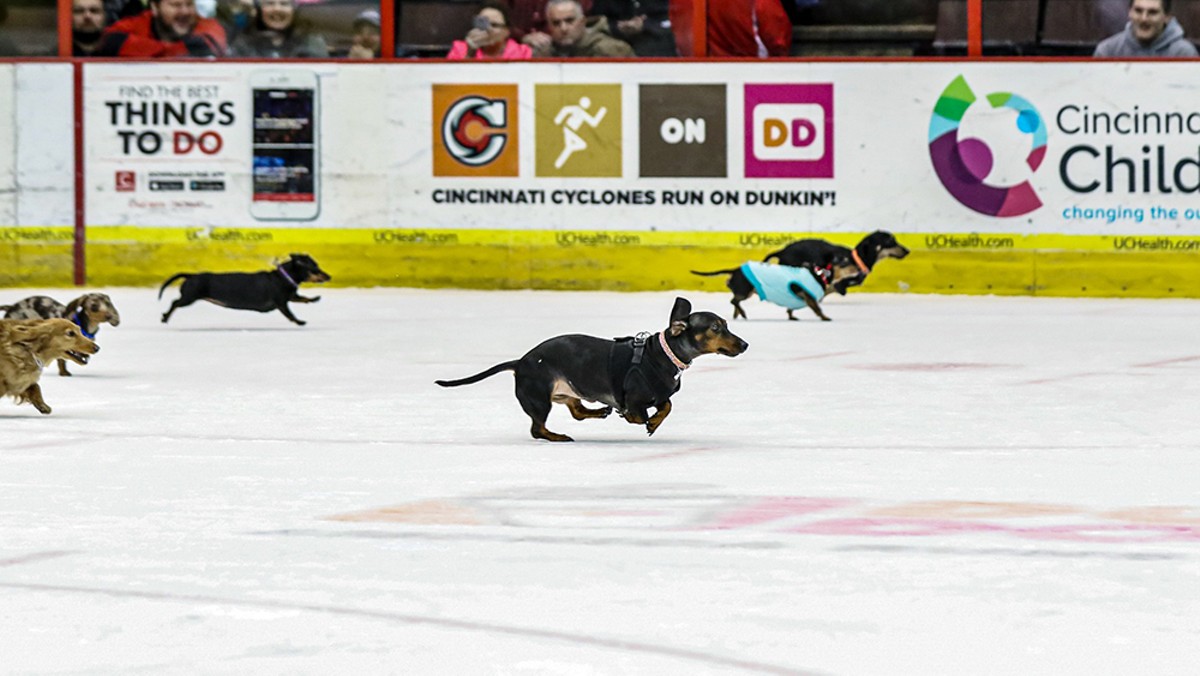 Cincinnati Cyclones to Host Wiener Dog Races on the Ice This Weekend