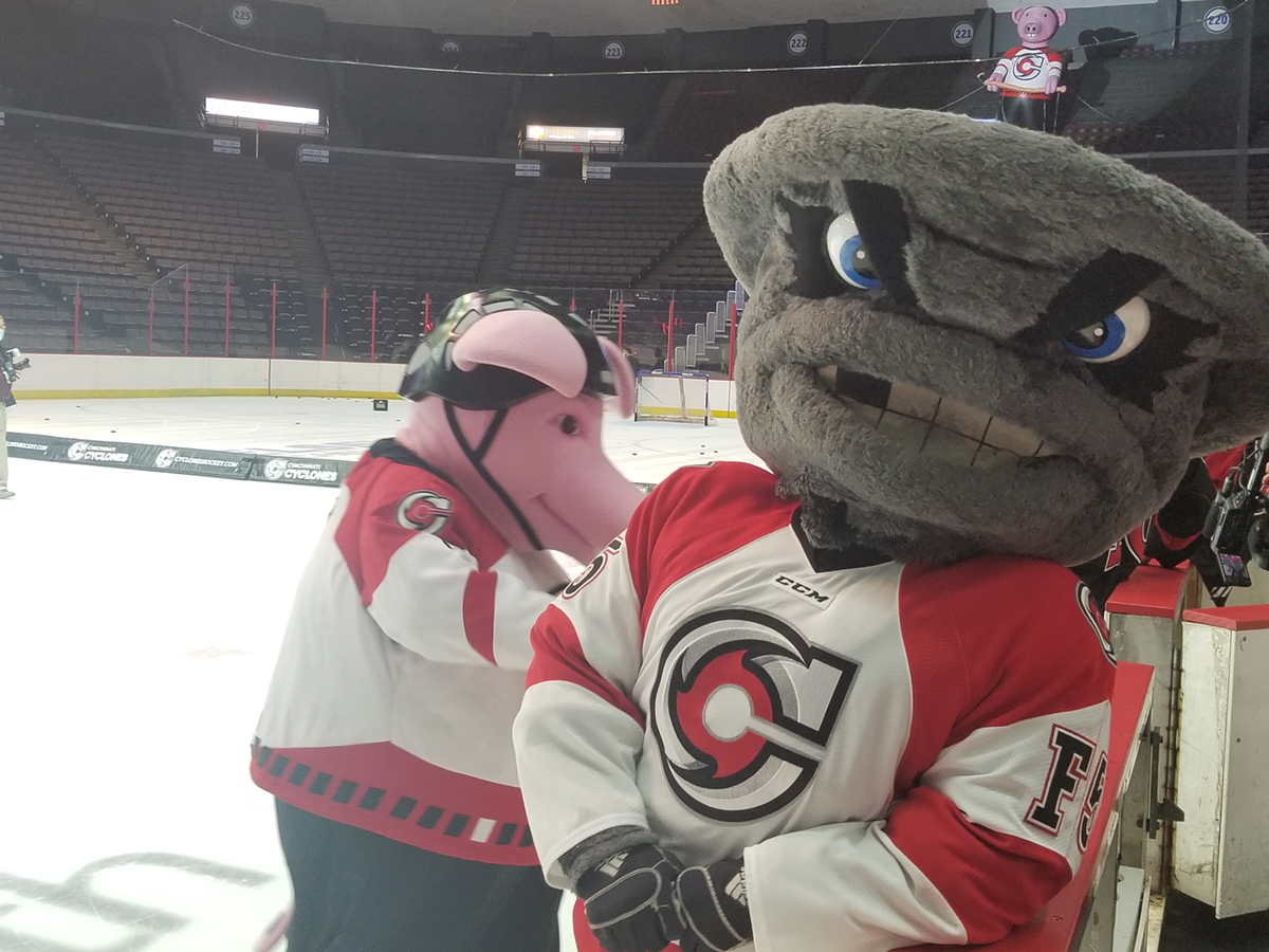 Cincinnati Cyclones, Cincinnati, OH Professional Hockey