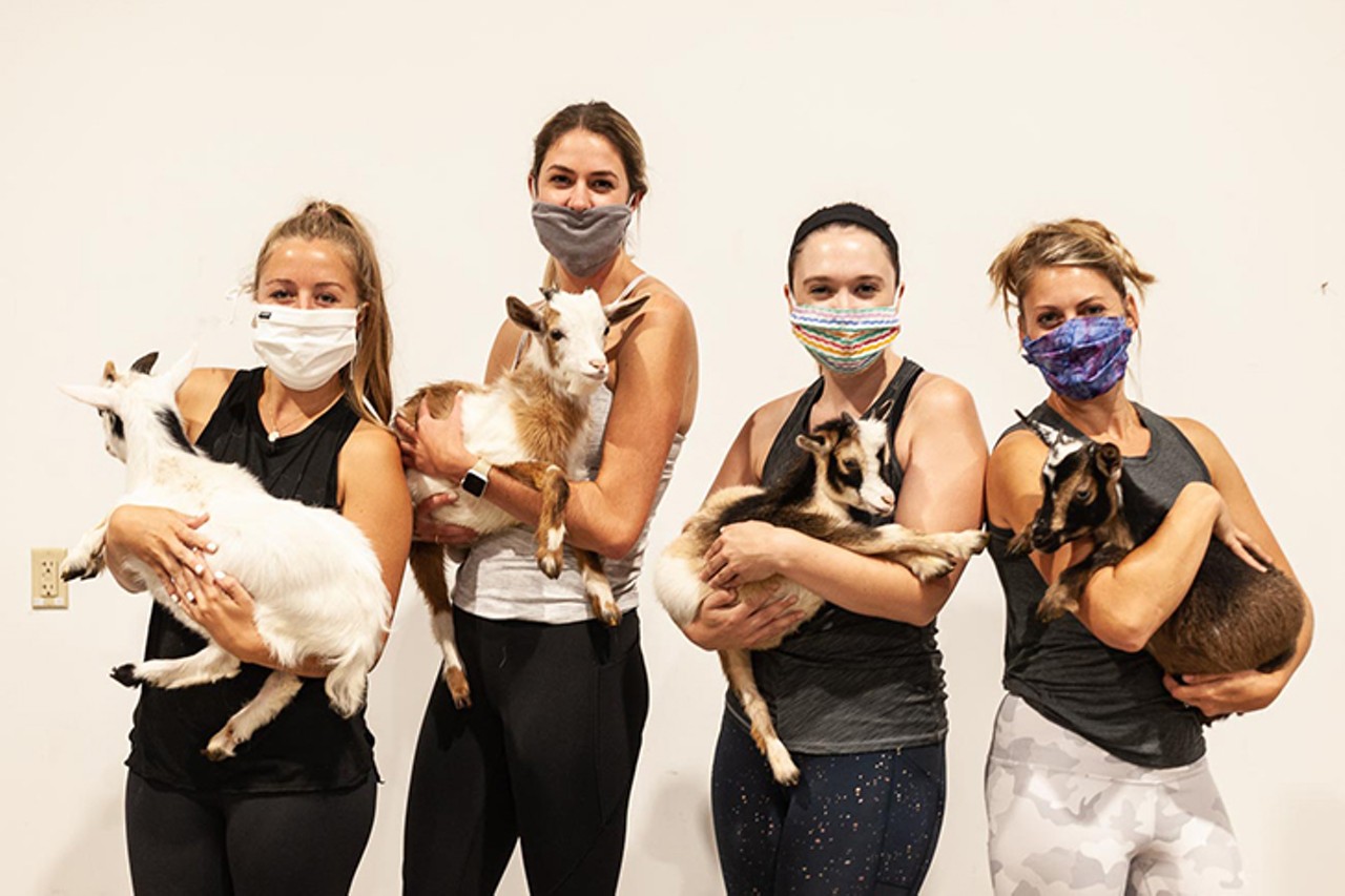 We Attended a Goat Yoga Session at Taft's Brewpourium and Could Barely Handle the Cute
