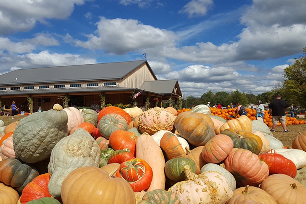 cincinnati ohio pumpkin patch