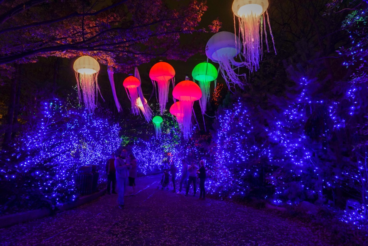 See Some of the 4 Million Lights on Display at the Cincinnati Zoo