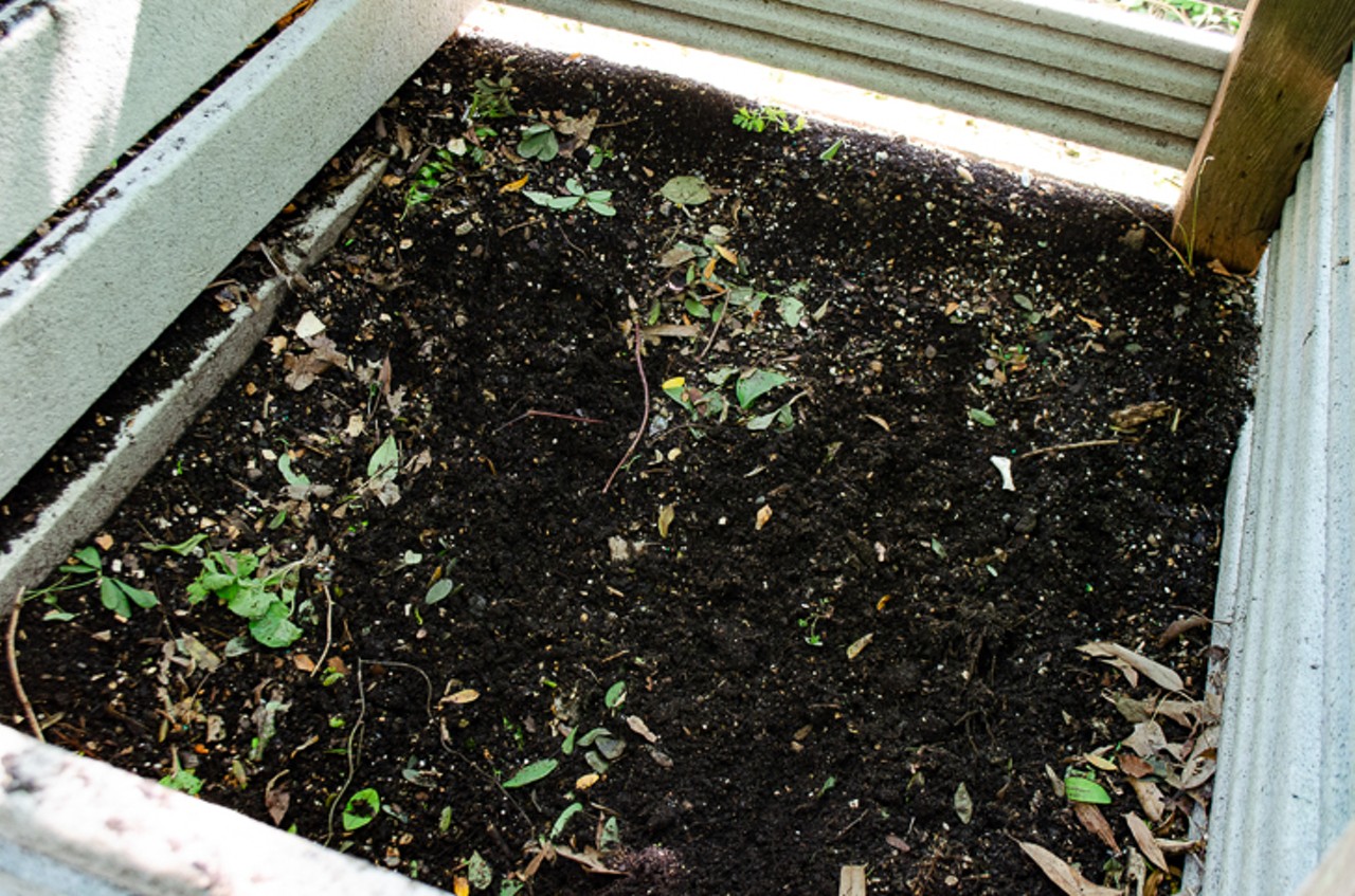 The final bin contains nearly-finished compost, which has a dark color to it. At this point, Johnson says the next step is to take a compost sifter and a wheelbarrow to make sure the soil is finely-coarse and garden-ready.