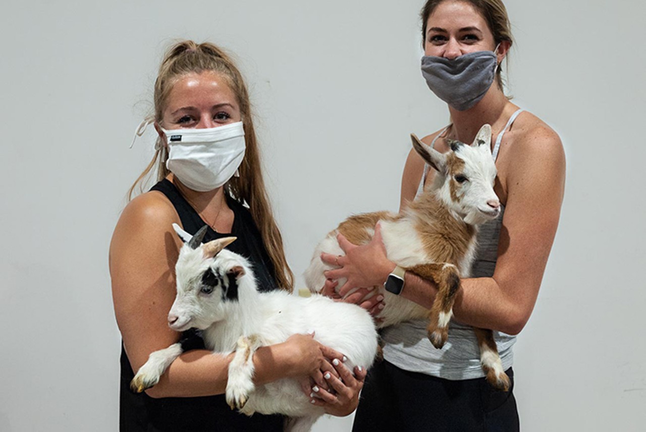 We Attended a Goat Yoga Session at Taft's Brewpourium and Could Barely Handle the Cute