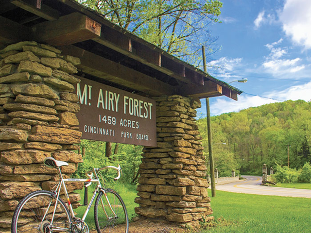 Nick got lost in Mount Airy Forest and enjoyed it immensely.