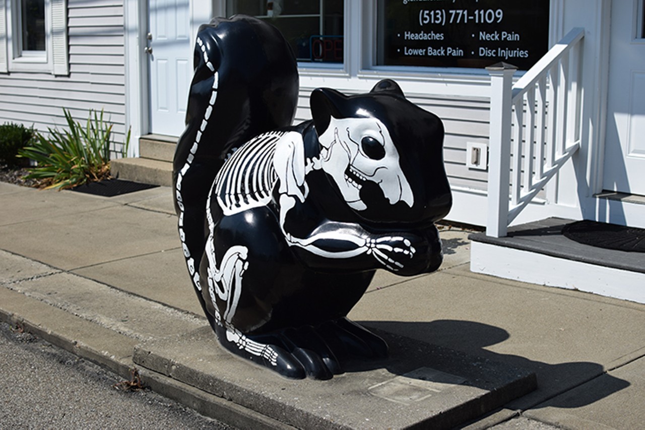 Formerly known as "I.C.Clearlynow," this skeletal squirrel has been repainted and positioned next to Glendale Family Chiropractic at Congress and Washington avenues.