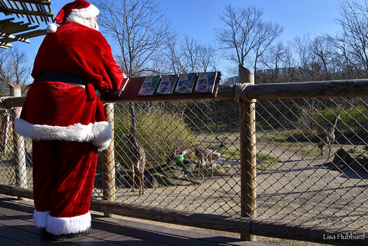 Wholesome Photos of the Cincinnati Zoo's Baby Animals Getting Treats from Santa Claus