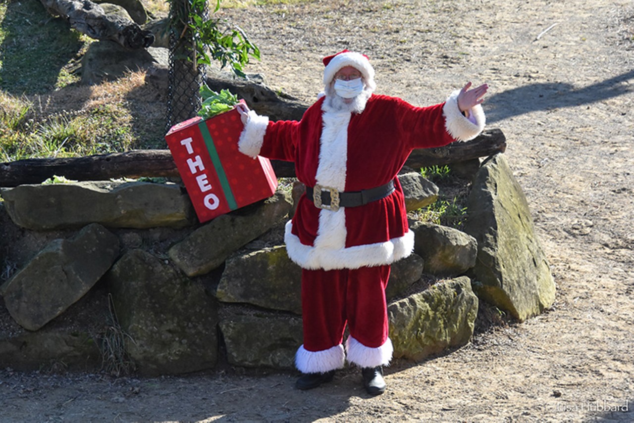 Wholesome Photos of the Cincinnati Zoo's Baby Animals Getting Treats from Santa Claus