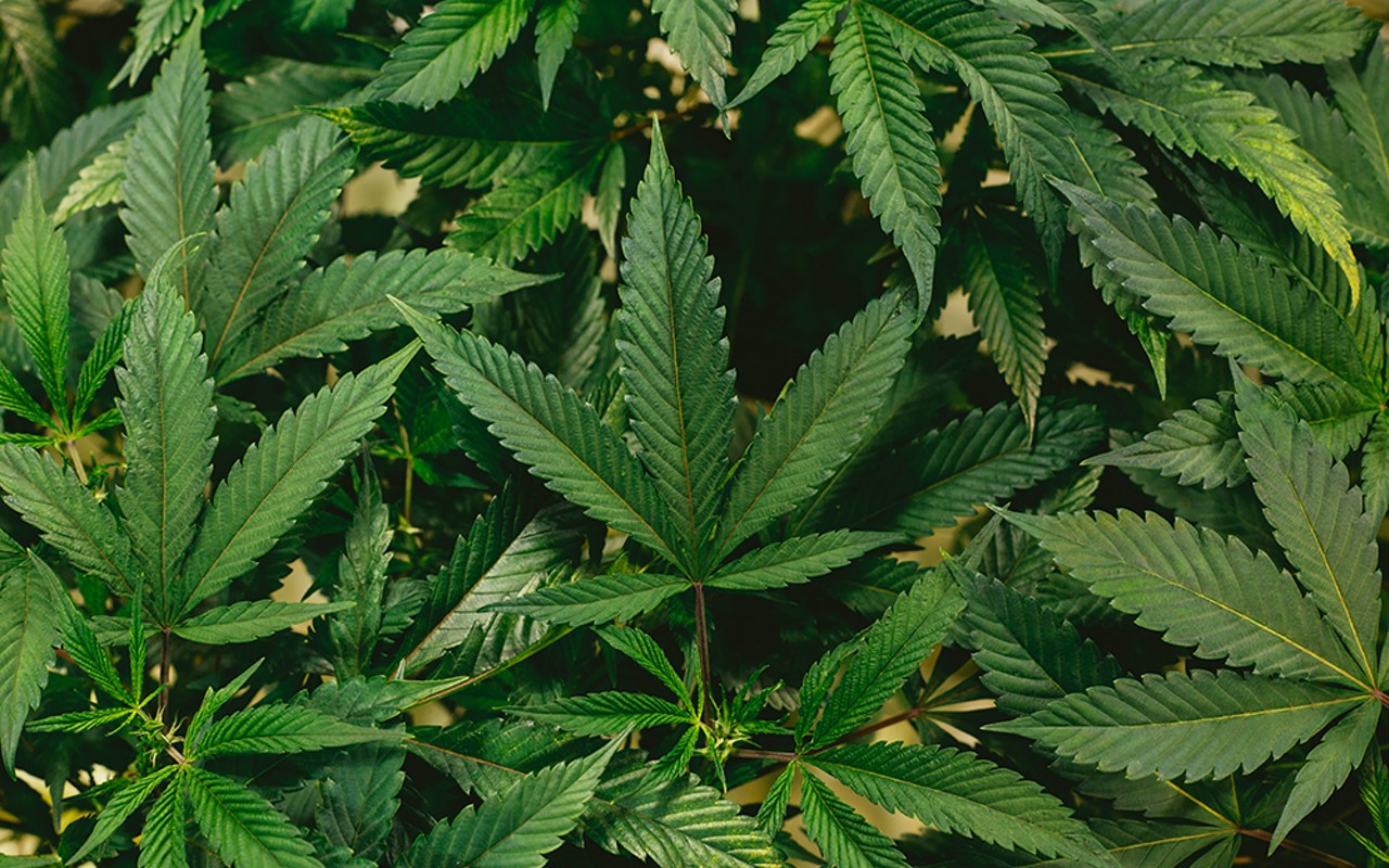 Ohioans will vote on recreational marijuana on Nov. 7.